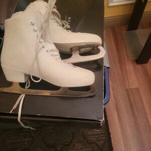 Winter skates